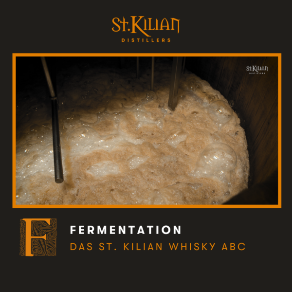 Whisky ABC Fermentation